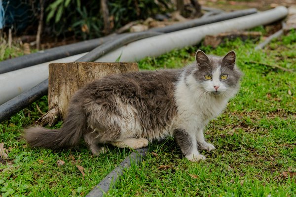 Trouver un psychothérapeute au centre de londres facilement